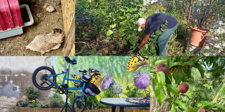 Quartucciu, una rassegna letteraria tra il verde dell’oasi l’Orto Giardino Mariposa de Cardu