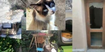 Cagliari, anziana aggredita verbalmente da una gattara nel parco di San Michele: è polemica