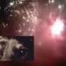 Festa a Serramanna, lo spettacolo pirotecnico mette in fuga gli animali
