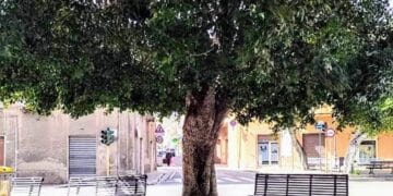 Monserrato, anziano si perde nelle vie della città e torna a casa grazie a una famiglia e ai carabinieri