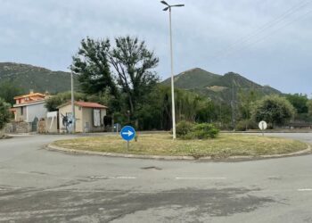 Solanas, spine rispedite al mittente, la sindaca rassicura cittadini e turisti: “Non ci sono più pericoli”