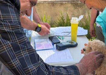 Quartu, altri 40 amici a quattro zampe sono entrati a far parte dell’anagrafe canina