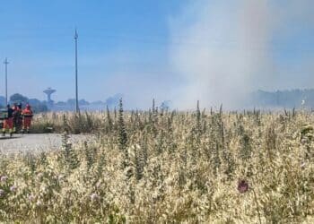 Assemini, al via la stagione degli incendi: a Cuccuru Macciori fumo e fuoco