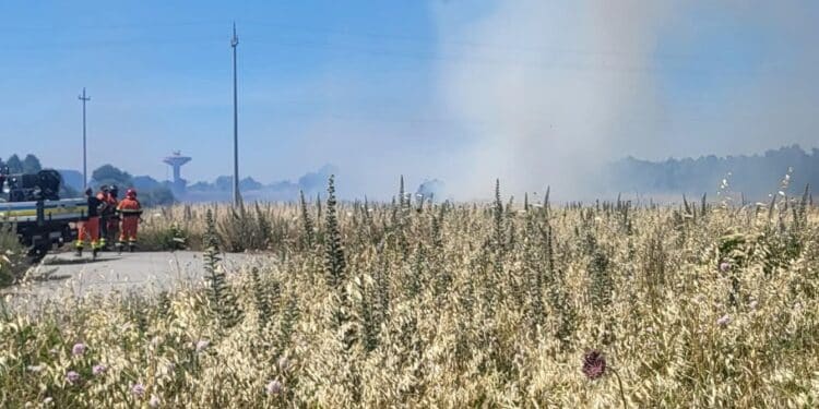 Assemini, al via la stagione degli incendi: a Cuccuru Macciori fumo e fuoco