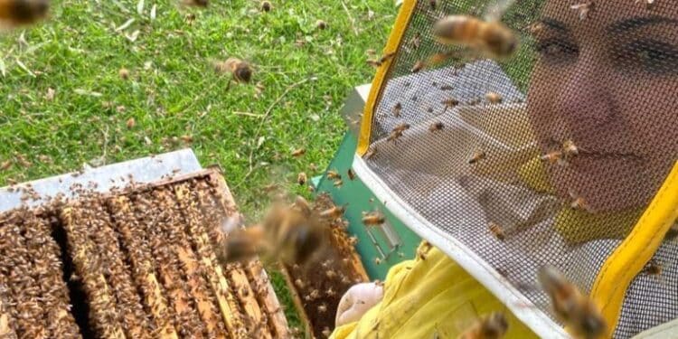 Da Siurgus Donigala a Roma, la regina delle api si chiama Anna Maria Cabiddu e sarà premiata per APInRosa