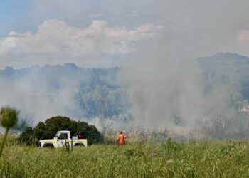 Siliqua, primo incendio di una stagione che si prospetta bollente