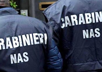 Blatte in cucina, ristorante asiatico chiuso dal NAS a Cagliari