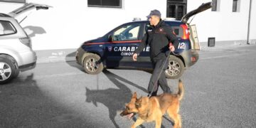 Blitz antidroga dei carabinieri a Villaputzu, in casa oltre cento grammi di marijuana