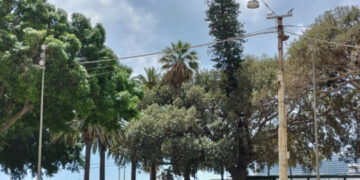 Cagliari presa d’assalto dai crocieristi: in settemila alla scoperta della città