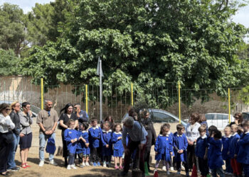 Un ulivo in ricordo del piccolo Leonardo, scomparso a febbraio per una malattia