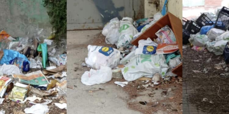 Cagliari, degrado al CEP: discarica e ratti accanto alla scuola di via Flavio Gioia