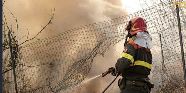 Sardegna, solo oggi 10 incendi sull’Isola: grande lavoro dei vigili del fuoco