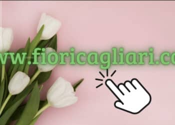 Fioricoltura Sorrentino, fiori e Piante dove e quando vuoi tu con un Click !