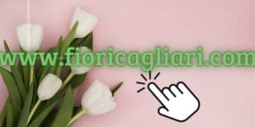 Fioricoltura Sorrentino, fiori e Piante dove e quando vuoi tu con un Click !