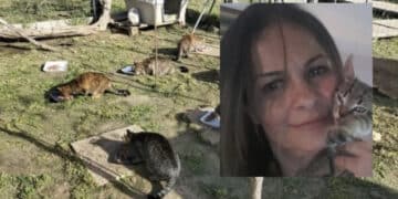 Cagliari, morta la volontaria che si occupava dei 4 zampe sfortunati, l’appello della figlia: “Chiedo aiuto a chiunque possa adottarne anche solo uno”