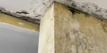 Le case popolari a Tuvixeddu cadono a pezzi: “Muffa e infissi vecchi di 50 anni, aiutateci per favore” (VIDEO)