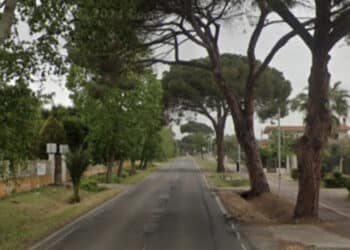 Assemini, pino pericolante mette ko la viabilità lungo via Cagliari: sul posto la polizia municipale, i vigili del fuoco e la Sicilville
