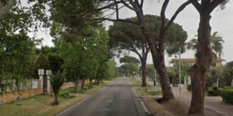 Assemini, pino pericolante mette ko la viabilità lungo via Cagliari: sul posto la polizia municipale, i vigili del fuoco e la Sicilville