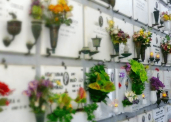 Ladri di fiori scatenati in cimitero a Quartucciu: “È il quinto caso”