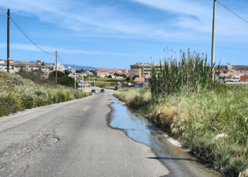 “Is Corrias, terra di nessuno”: manto stradale costellato di buche e vegetazione incolta