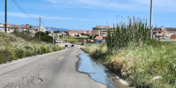 “Is Corrias, terra di nessuno”: manto stradale costellato di buche e vegetazione incolta