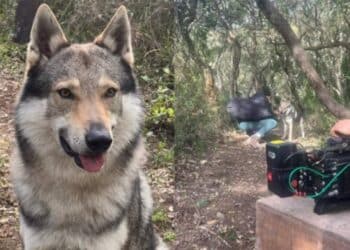 Ussana, Biker vive ancora al cinema: e il film sta per uscire