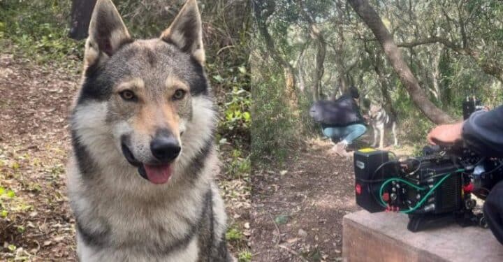 Ussana, Biker vive ancora al cinema: e il film sta per uscire