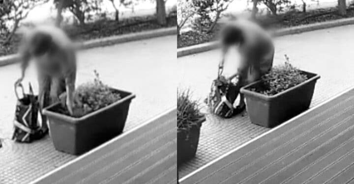 Ladri di piante in azione a Quartu, fioriere nel mirino