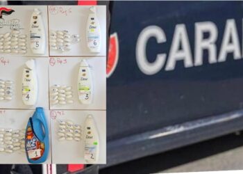 Sbarca a Cagliari con la cocaina nei flacone del bagnoschiuma: incastrato dai cani al porto