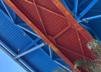 Piccioni intrappolati nelle reti alla Cittadella Universitaria di Monserrato: carcasse penzolanti e degrado