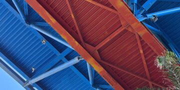 Piccioni intrappolati nelle reti alla Cittadella Universitaria di Monserrato: carcasse penzolanti e degrado