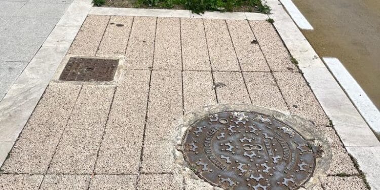 La nuova via Dante è già devastata, sos in consiglio comunale: “Aiuole distrutte, il Comune perchè non interviene?”