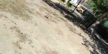 Cagliari, sparite misteriosamente due altalene davanti alla scuola, sos dei genitori: “Urgente procedere alla rimozione dei supporti in ferro, sono un pericolo”