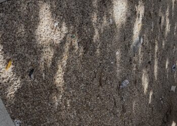 Cestini vuoti ma la spazzatura imperversa in Piazza Matteotti: il simbolo di una Cagliari sempre più sporca (VIDEO)