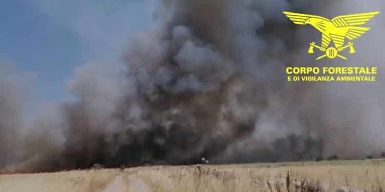Sardegna in fiamme, otto roghi richiedono l’intervento aereo