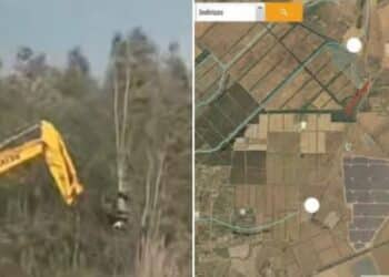 Allarme a Uta, migliaia di alberi abbattuti alle porte di un’Oasi naturale