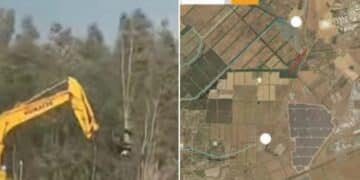 Allarme a Uta, migliaia di alberi abbattuti alle porte di un’Oasi naturale