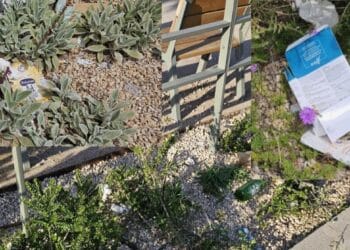 Cagliari, la nuova zona verde di via Roma già sommersa dai rifiuti: “Dove è finito il senso civico?”