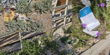 Cagliari, la nuova zona verde di via Roma già sommersa dai rifiuti: “Dove è finito il senso civico?”