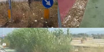 Quartu, polemiche sulla nuova via dell’Autonomia: “Verde trascurato e piste impraticabili, soldi pubblici sprecati”