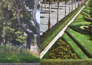 Viale Buoncammino, aiuole abbandonate ed erba alta: il “salotto urbano” già in affanno dopo la riqualificazione