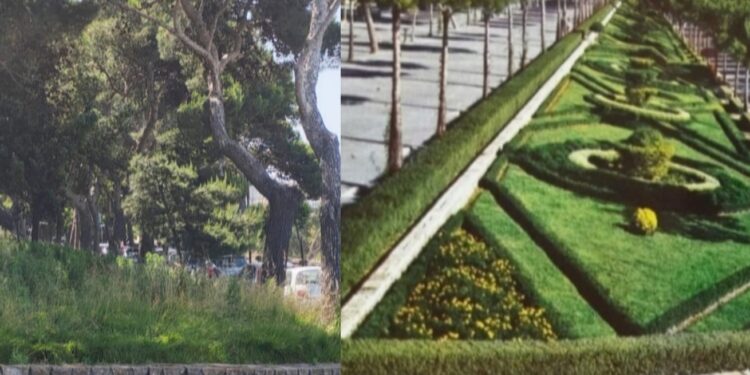 Viale Buoncammino, aiuole abbandonate ed erba alta: il “salotto urbano” già in affanno dopo la riqualificazione