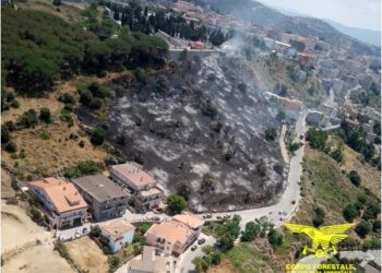 Incubo incendi in Sardegna, solo oggi 36 roghi: 9 i più temuti