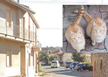 Sardara, l’incredibile gaffe del sindaco: “Attenti è una ladra”, ma era un medico in cerca dei suoi gatti