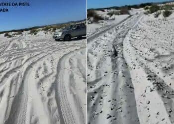 A Porto Pino piste per fuoristrada nel bel mezzo delle dune: la denuncia del Grig