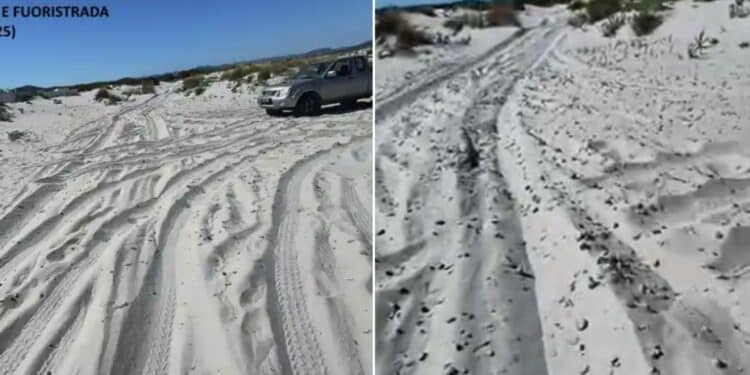 A Porto Pino piste per fuoristrada nel bel mezzo delle dune: la denuncia del Grig