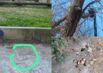 Cagliari, degrado e insicurezza in via Talete: l’opposizione interroga sindaco e giunta