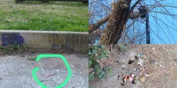 Cagliari, degrado e insicurezza in via Talete: l’opposizione interroga sindaco e giunta