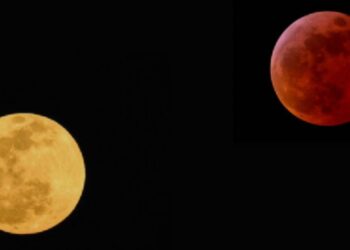 L’influencer Marco Piras e la Luna delle Fragole: uno scatto che ha fatto sognare i social