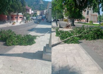 Paura a Sarroch, grosso ramo cade in piazza Sa Ruxi